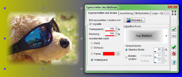Heyer's CD+DVD-Hüllen - Bildfeld