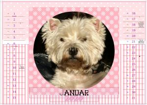 Hundekalender selbst drucken